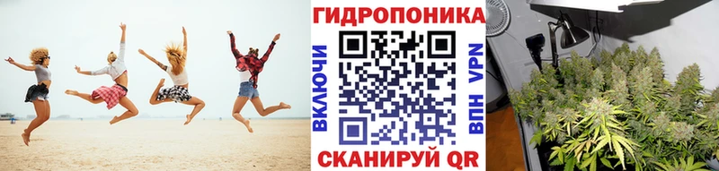 Виды наркоты Заволжск Псилоцибиновые грибы Конопля Амфетамин Мефедрон ГАШИШ