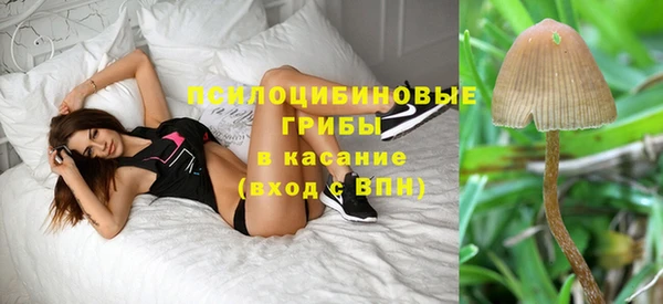 apvp Баксан